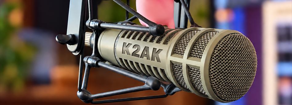 RE-20 Microphone