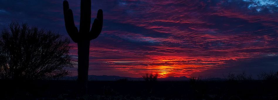 Arizona Sunset